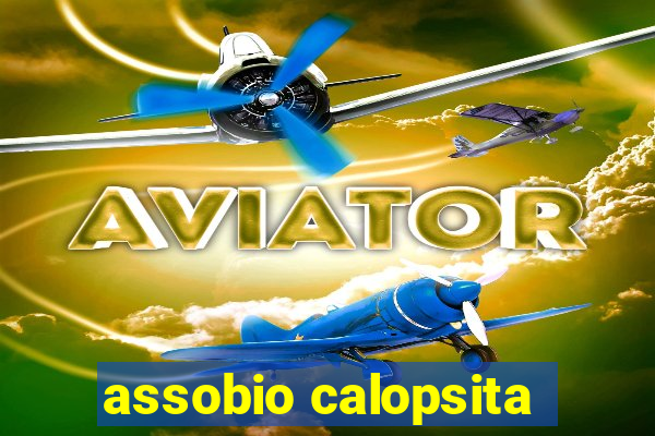 assobio calopsita